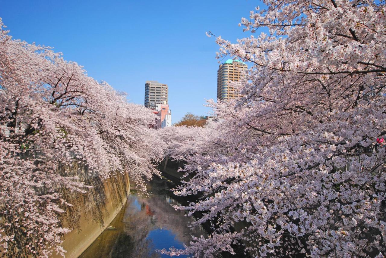 Sotetsu Fresa Inn Tokyo Kanda מראה חיצוני תמונה